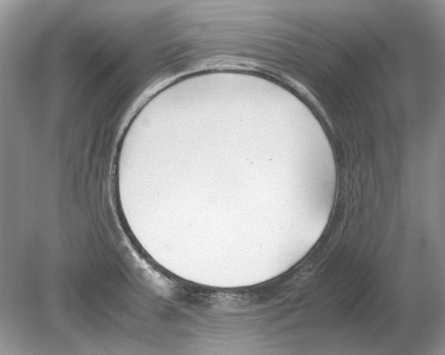 X0000078881379200612111728