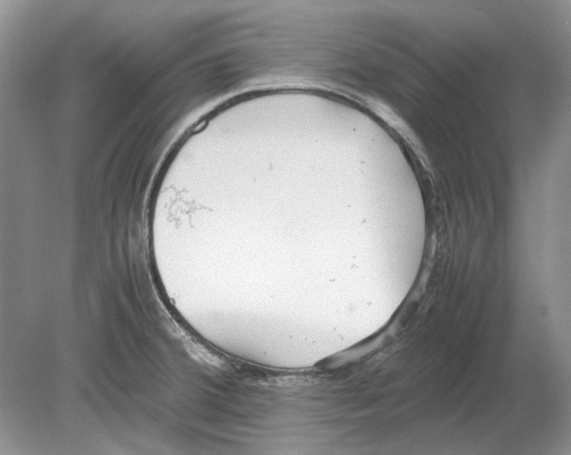 X0000078881380200612111728