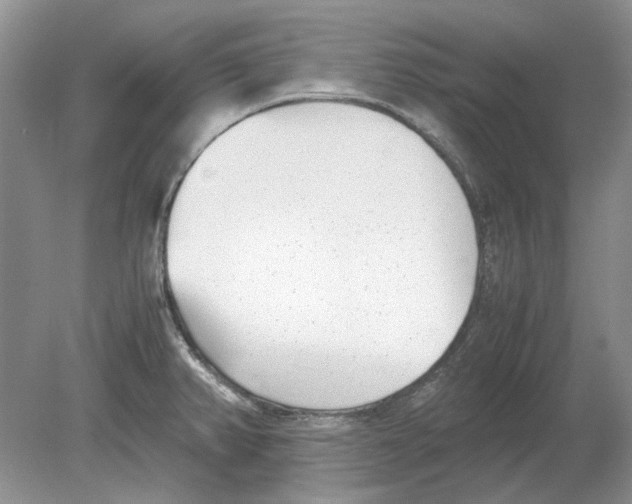 X0000078881382200612111728