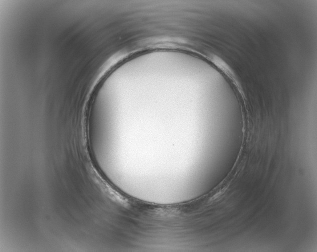 X0000078881384200612111728