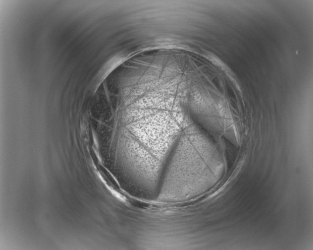 X0000078881385200612111728