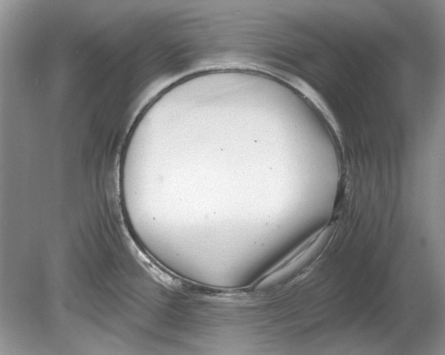 X0000078881388200612111728