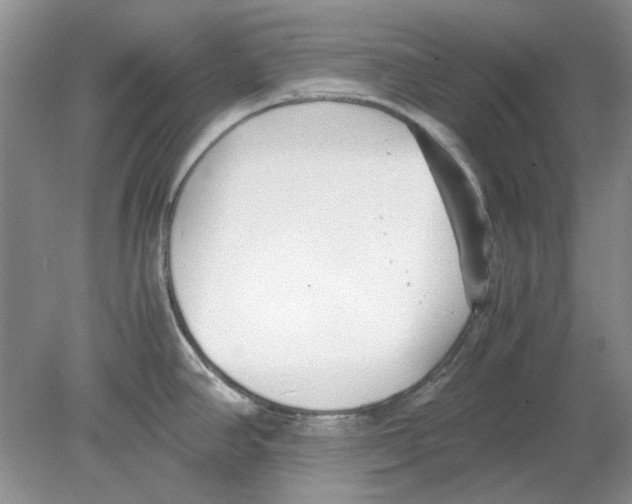 X0000078881390200612111728