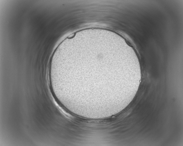 X0000078881391200612111728