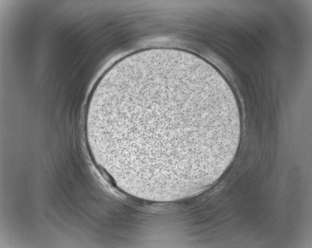 X0000078881392200612111728