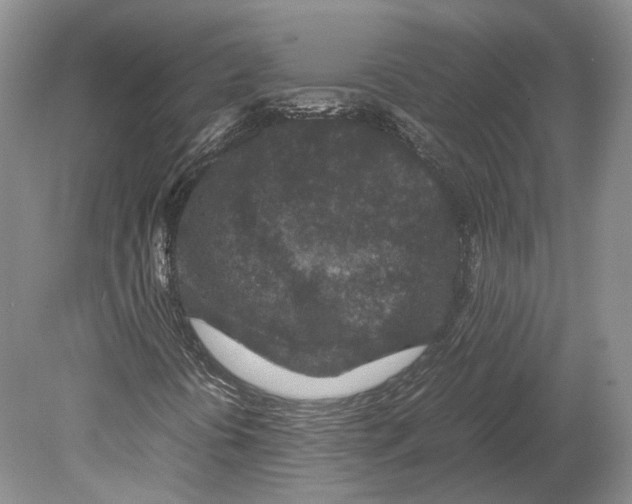 X0000078881394200612111727