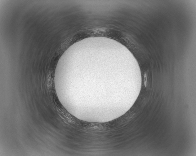 X0000078881395200612111727