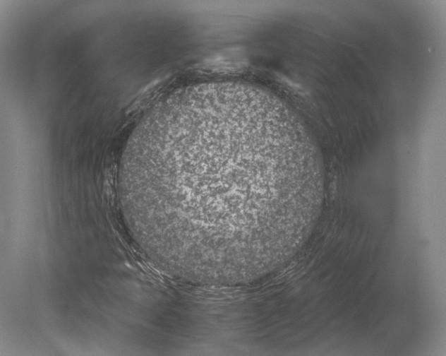 X0000078881397200612111727