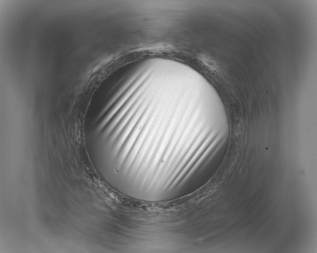 X0000078881398200612111727