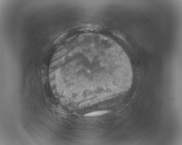 X0000078881399200612111727