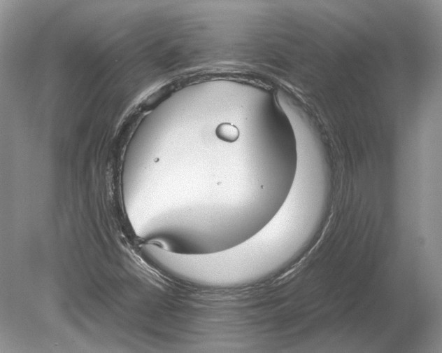 X0000078881402200612111727