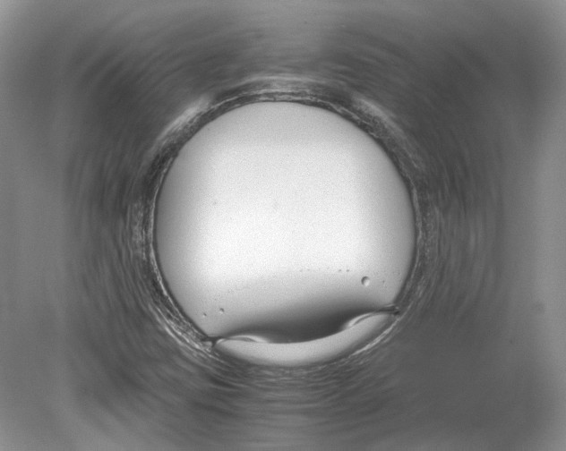 X0000078881403200612111727