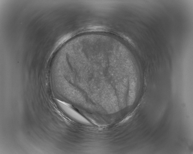 X0000078881405200612111727