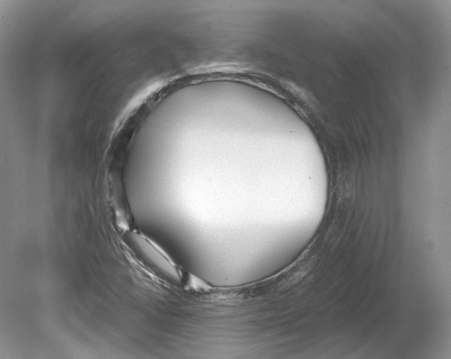 X0000078881406200612111727