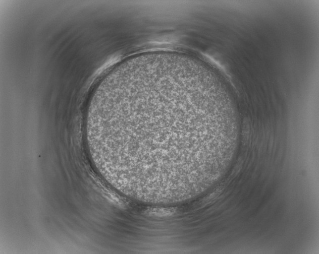 X0000078881411200612111727