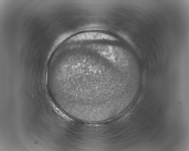 X0000078881413200612111727