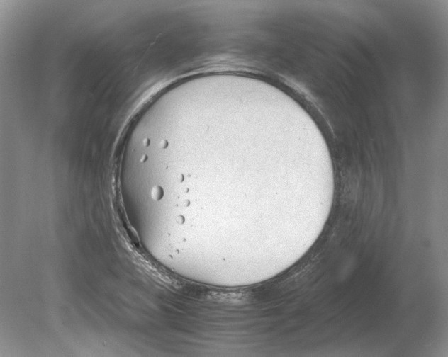 X0000078881415200612111727