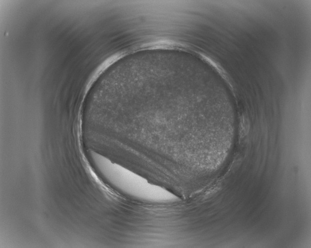 X0000078881418200612111728