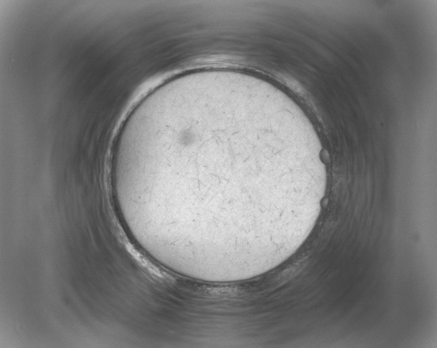 X0000078881421200612111728