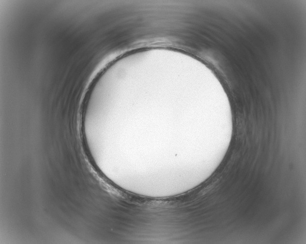 X0000078881424200612111728