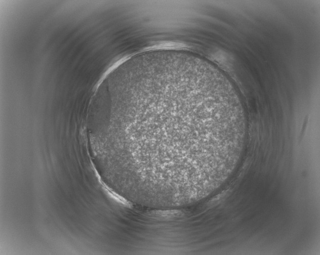 X0000078881425200612111728