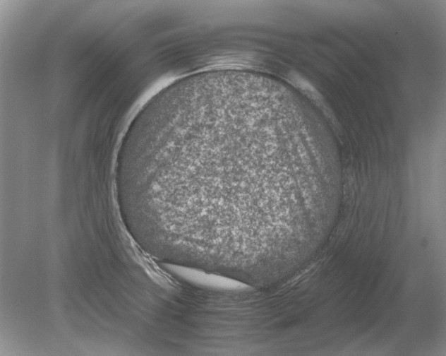 X0000078881427200612111728