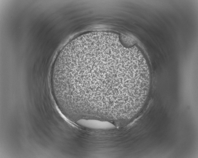 X0000078881429200612111728