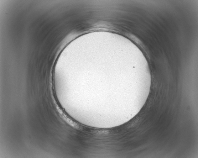 X0000078881431200612111728