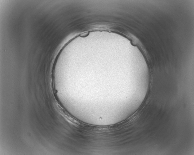 X0000078881435200612111728