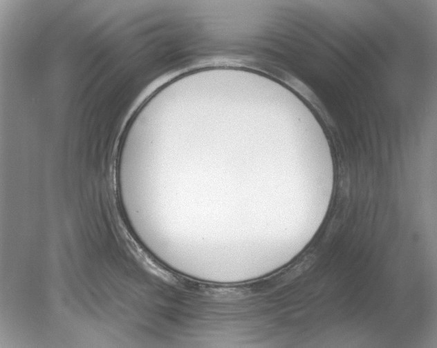 X0000078881436200612111728