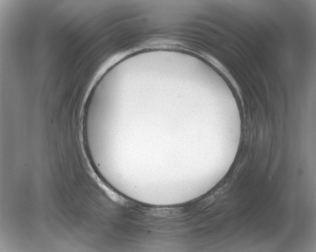 X0000078881437200612111728