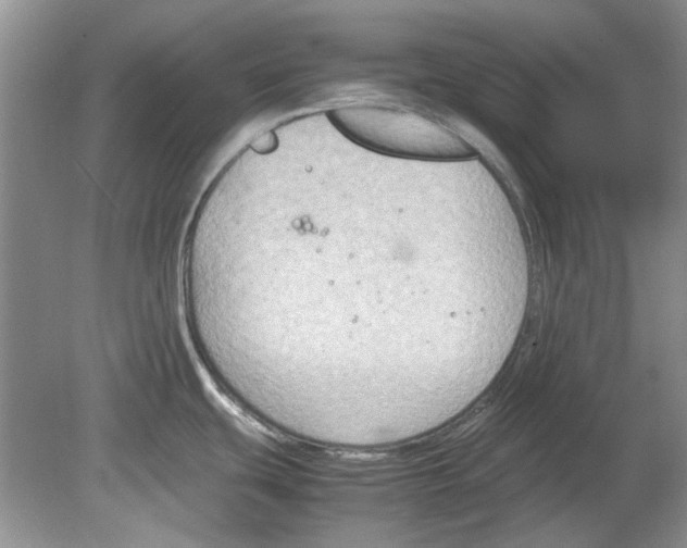 X0000078881439200612111728