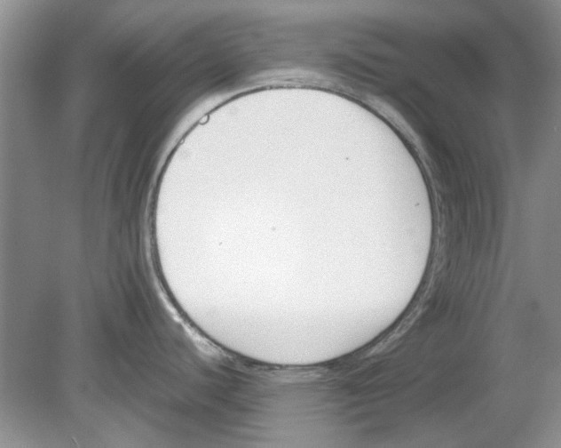 X0000078881440200612111728