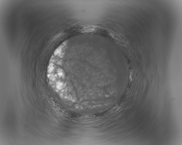 X0000078881441200612111727