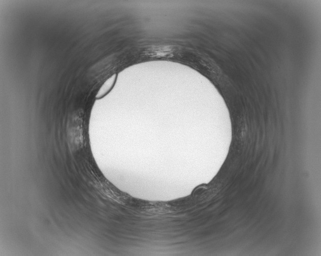 X0000078881442200612111727