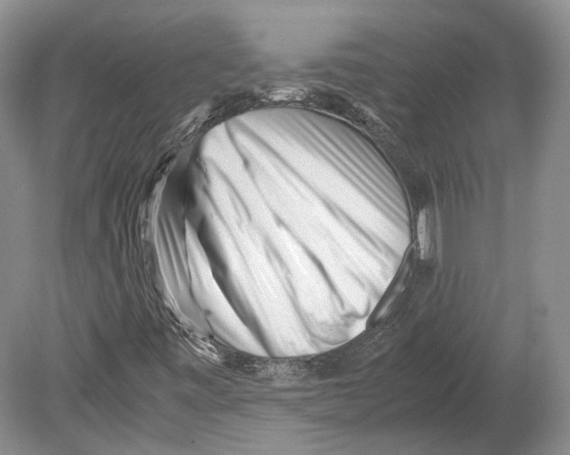 X0000078881443200612111727