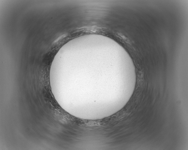 X0000078881446200612111727