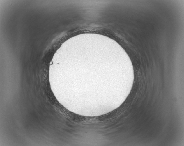 X0000078881447200612111727