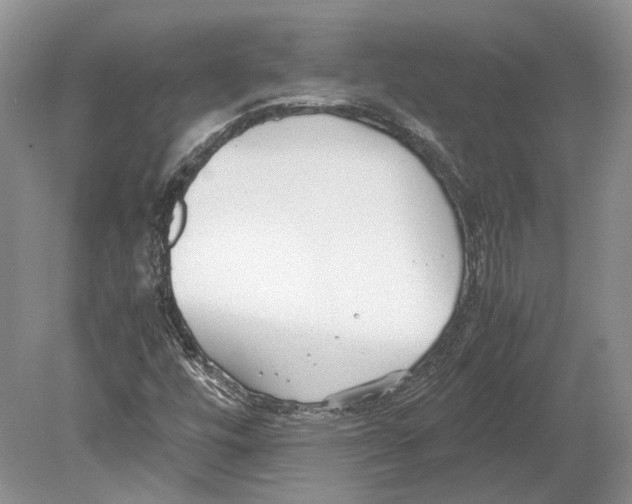 X0000078881448200612111727