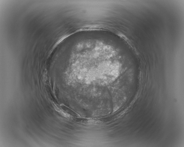 X0000078881449200612111727