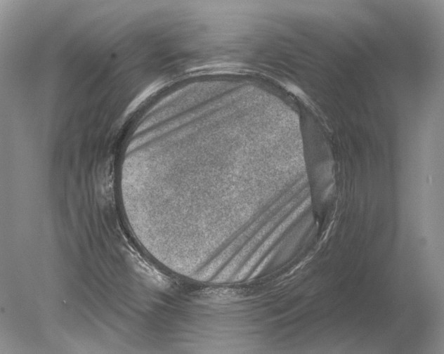 X0000078881450200612111727