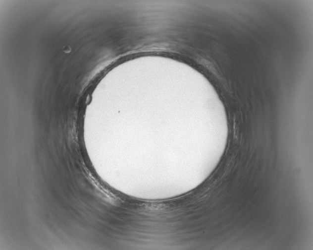 X0000078881452200612111727