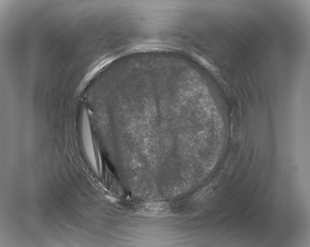 X0000078881453200612111727