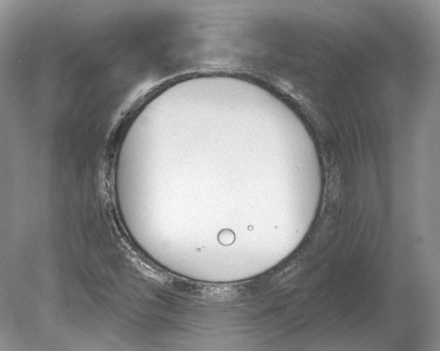 X0000078881454200612111727