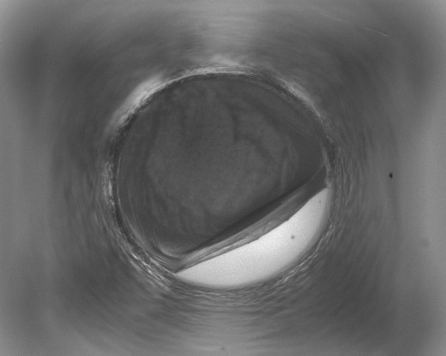 X0000078881455200612111727