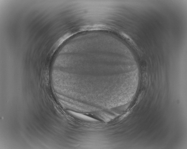 X0000078881457200612111727