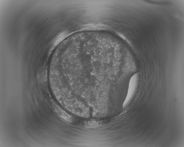 X0000078881459200612111727