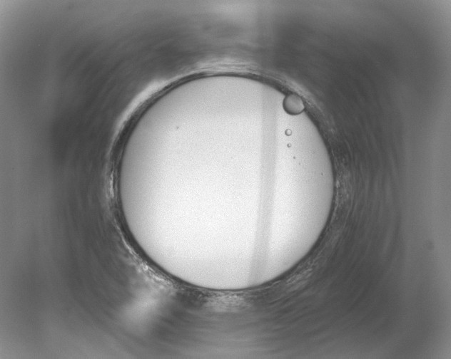 X0000078881462200612111727