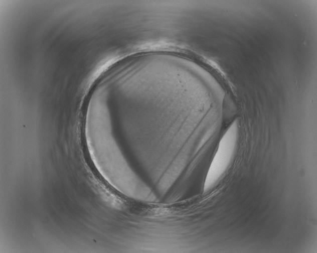 X0000078881463200612111727