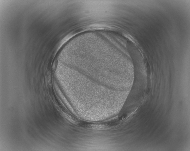 X0000078881465200612111727